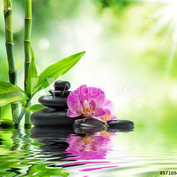 Background spa - orchids black stones and bamboo on water