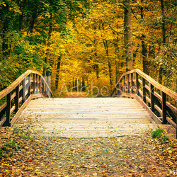 Bridge in autumn park