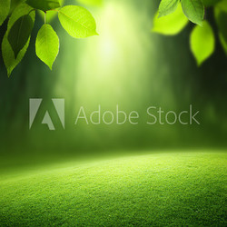 Spring forest  background