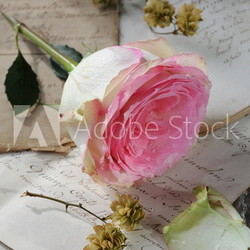 Rose auf Briefen