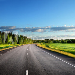 Asphalt road in forest