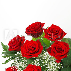 Rote Rosen und Schleierkraut