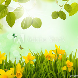 natur