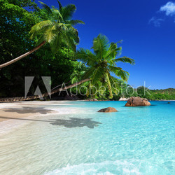 beach at Praslin island, Seychelles
