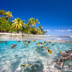 Tropical island