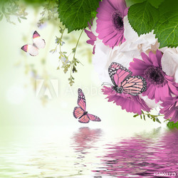 Multi-colored gerbera daisies and butterfly