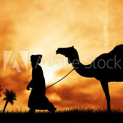 camel in the desert