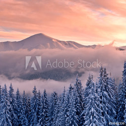Berge