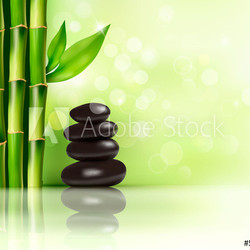 Spa background with bamboo and stones. Vector illustration.