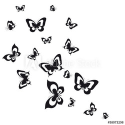 butterflies design