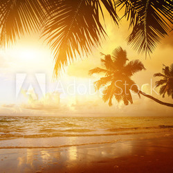 sunset on the beach of caribbean sea