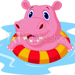 Hippo floating on an inflatable circle in the pool