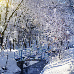 Winterlandschaft mit Brücke