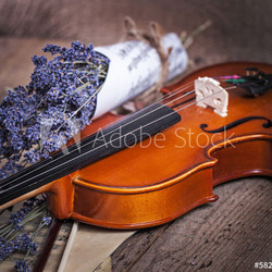 Vintage Geige und Lavendel