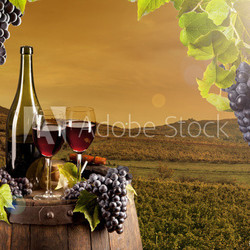 Wine in vineyard