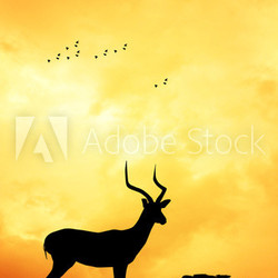 Gazzelle in African landscape