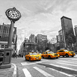 5th Avenue, New York City.