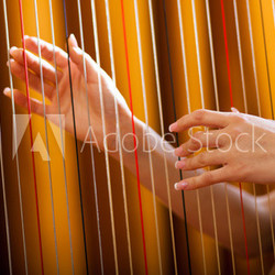 Woman playing the harp