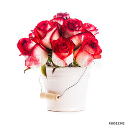 roses in the bucket