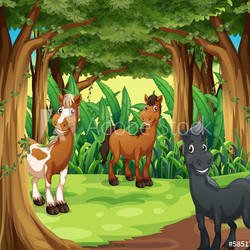 A forest with three smiling horses