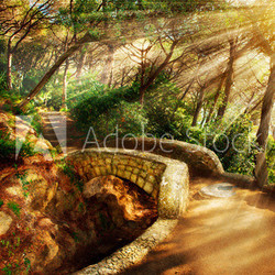 Mystical Park. Old Trees and Ancient Stone Bridge. Pathway