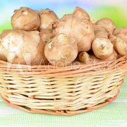 Topinambur roots in wicker basket on table on light background