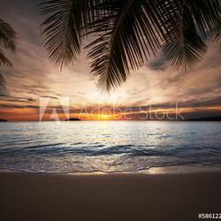 Tropical beach