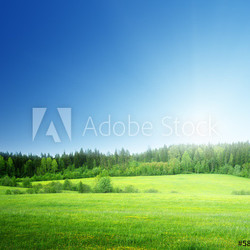 field of grass and perfect sky