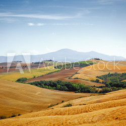 Tuscany Landscape