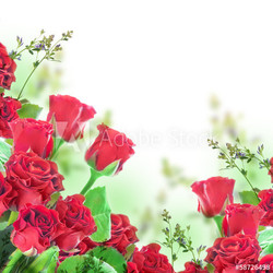 A bouquet of red roses, floral background