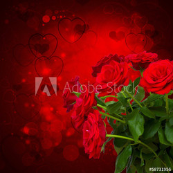 scarlet roses  on dark background
