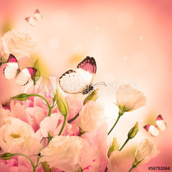 Bouquet of pink roses and butterfly, floral background