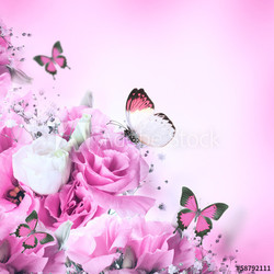 Bouquet of pink roses and butterfly, floral background