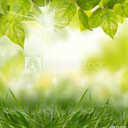 natur