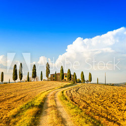 Tuscany, farmland, cypress trees and road. Siena, Italy.