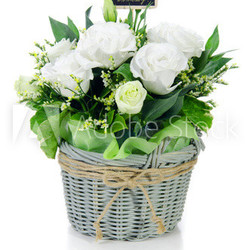 Bouquet of white roses