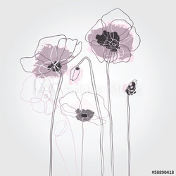 Red poppies on a white background