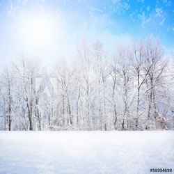 Wald im Winter