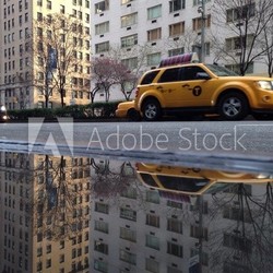 Park Avenue Puddle