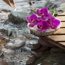 water hydration and beauty symbol