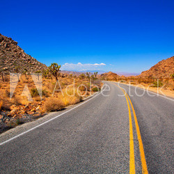 Joshua Tree boulevard Road in Yucca Valley desert California