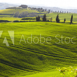 morning on countryside in Tuscany