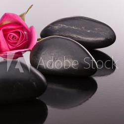 Spa stone and rose flowers still life. Healthcare concept.