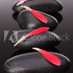Spa stone and flower petal still life. Healthcare concept.