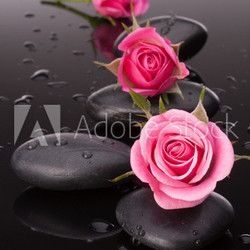 Spa stone and rose flowers still life. Healthcare concept.