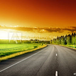 Asphalt road in forest