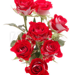 Red rose flower bouquet isolated on white background cutout