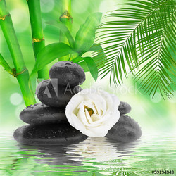 spa Background -  black stones and bamboo on water