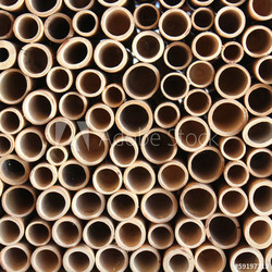 Bamboo wall