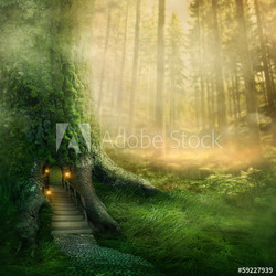 Fantasy tree house